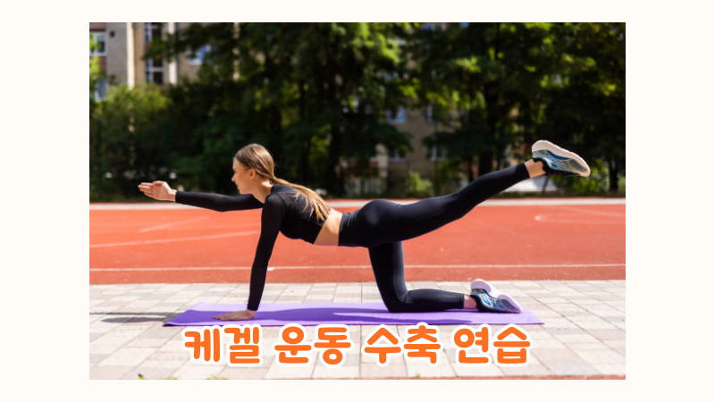a.케겔 운동 수축 연습