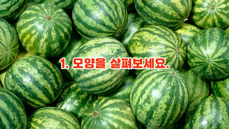 1. 모양을 살펴보세요.