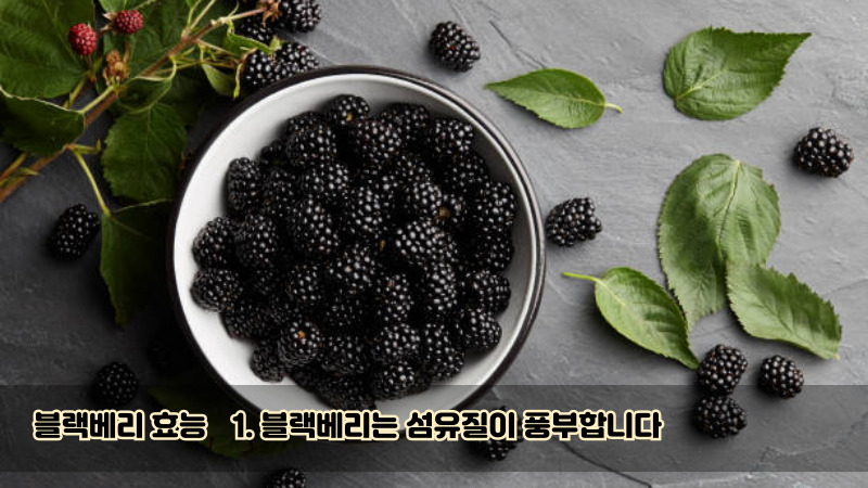 1. 블랙베리는 섬유질이 풍부합니다