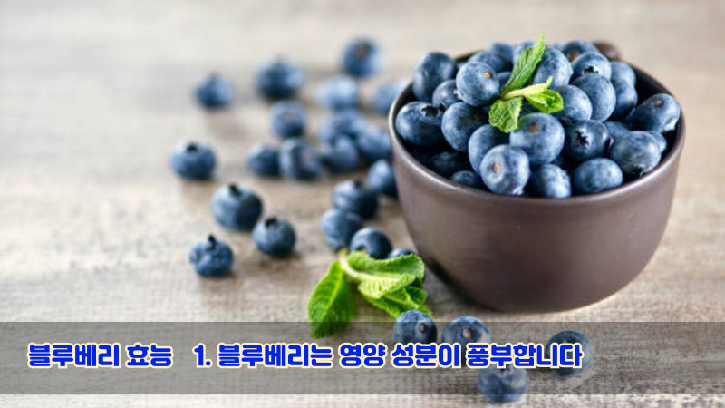 1. 블루베리는 영양 성분이 풍부합니다