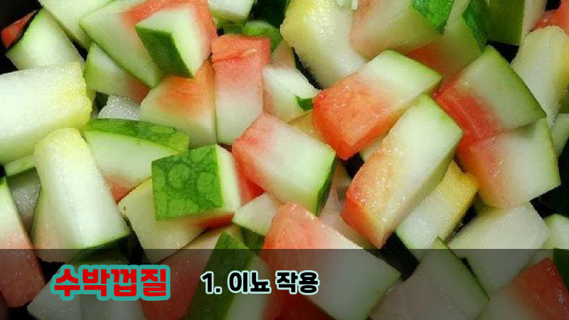 1. 이뇨 작용