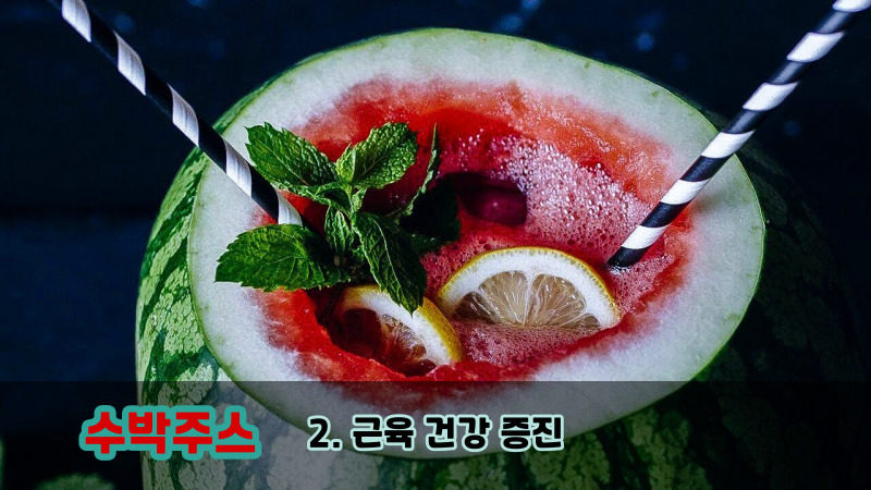 2. 근육 건강 증진