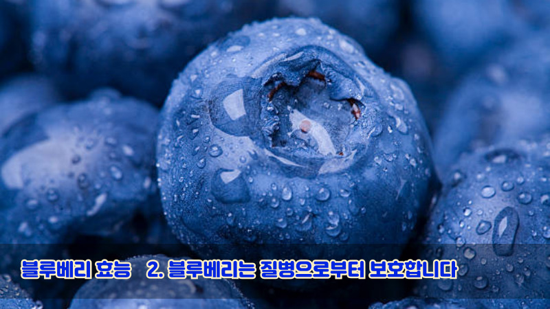 2. 블루베리는 질병으로부터 보호합니다