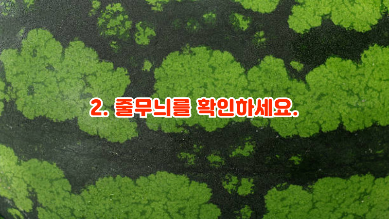2. 줄무늬를 확인하세요.