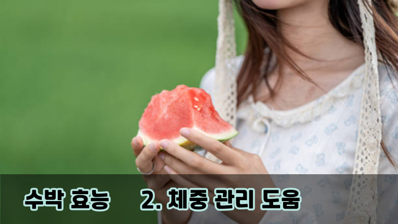 2. 체중 관리 도움