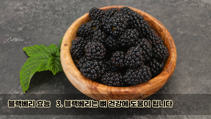 3. 블랙베리는 뼈 건강에 도움이 됩니다