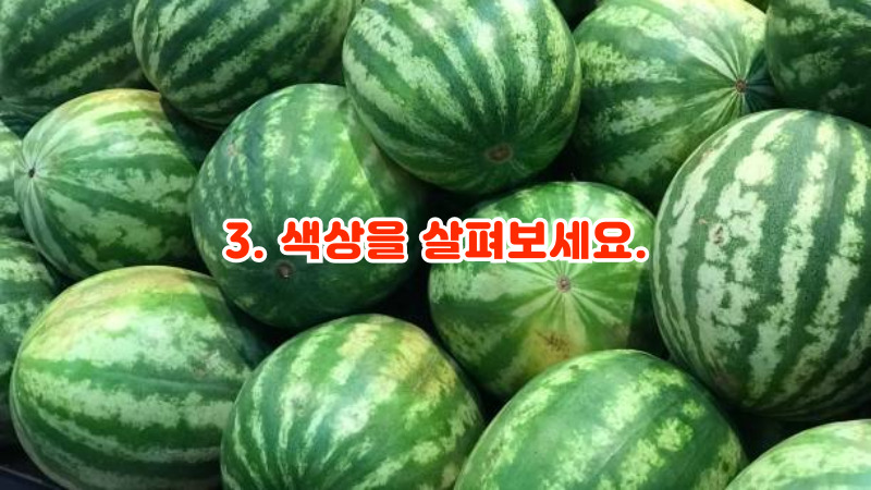 3. 색상을 살펴보세요.