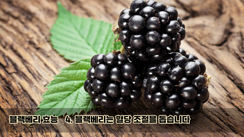 4. 블랙베리는 혈당 조절을 돕습니다