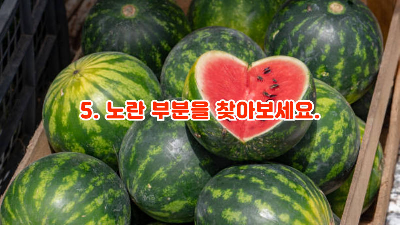 5. 노란 부분을 찾아보세요.