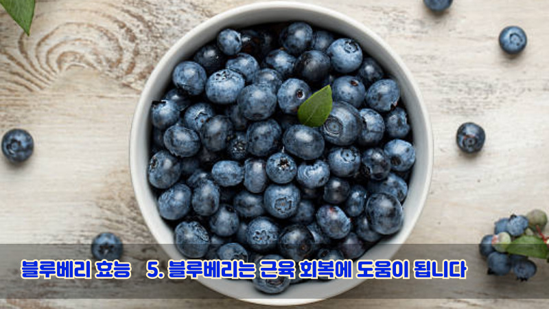 5. 블루베리는 근육 회복에 도움이 됩니다