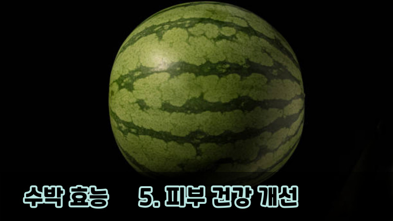 5. 피부 건강 개선