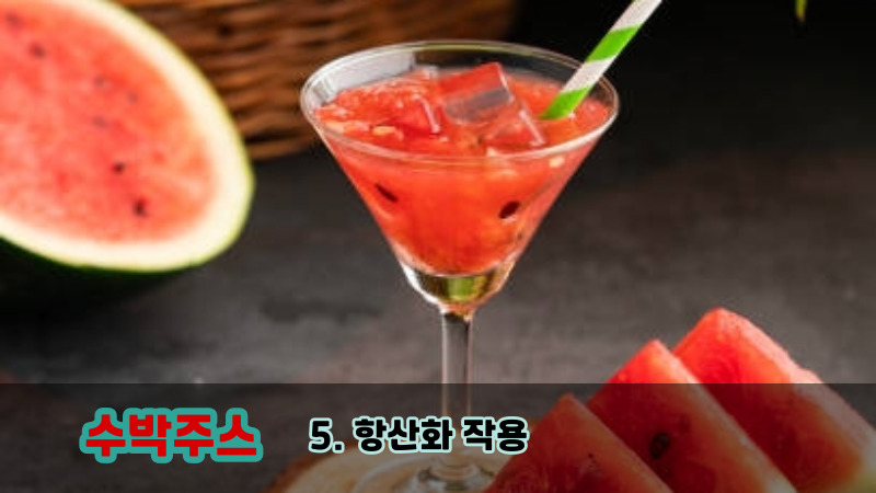 5. 항산화 작용