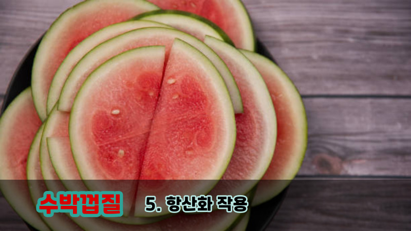 5. 항산화 작용