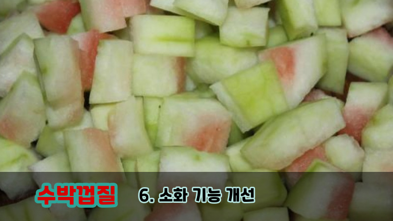 6. 소화 기능 개선