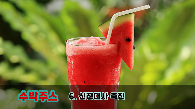 6. 신진대사 촉진