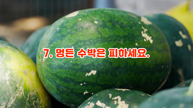 7. 멍든 수박은 피하세요.