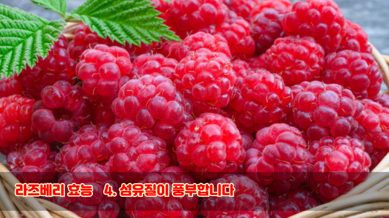 라즈베리 효능4