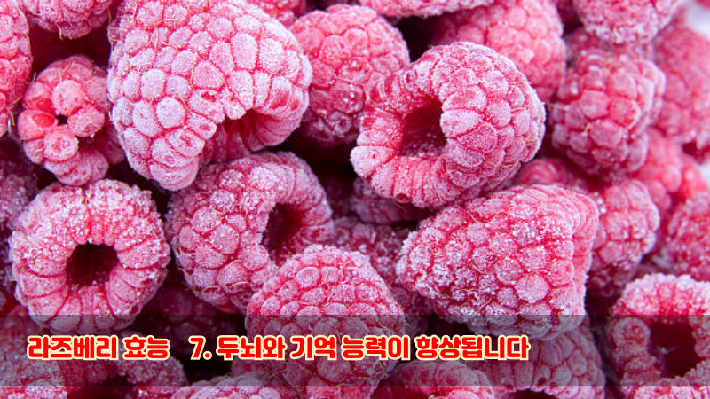 라즈베리 효능7