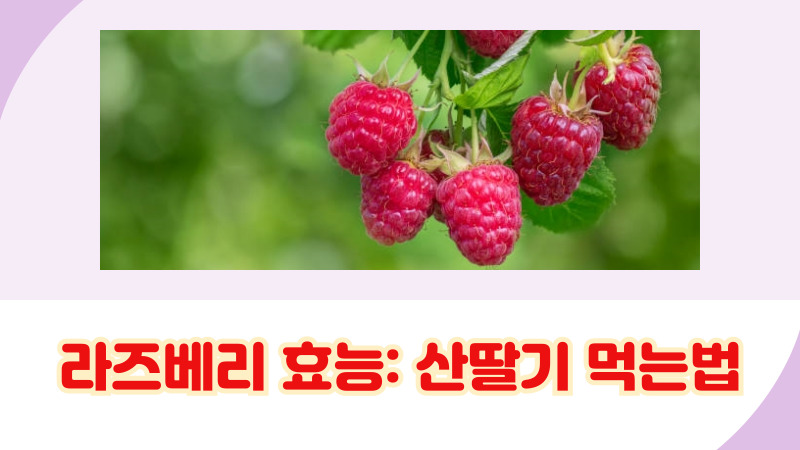 라즈베리