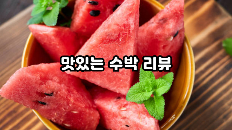 맛있는 수박 리뷰