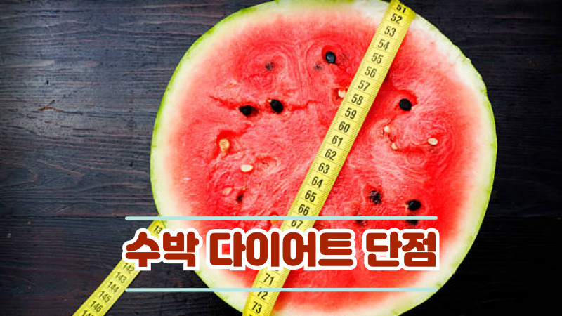수박 다이어트 단점