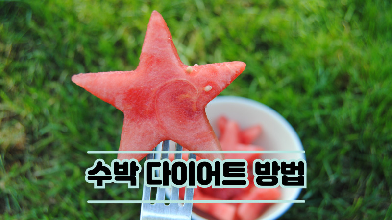 수박 다이어트 방법