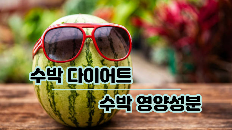 수박 다이어트
