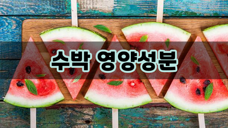 수박 영양성분