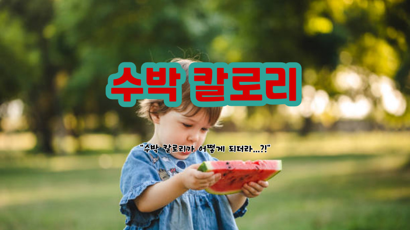 수박 칼로리