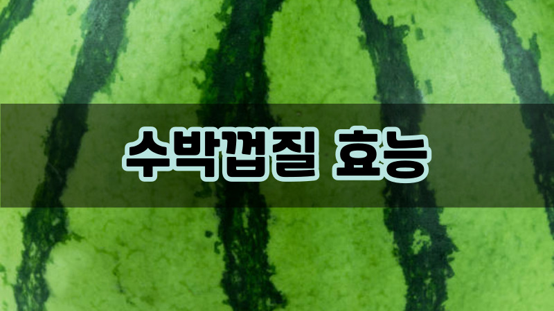 수박껍질 효능