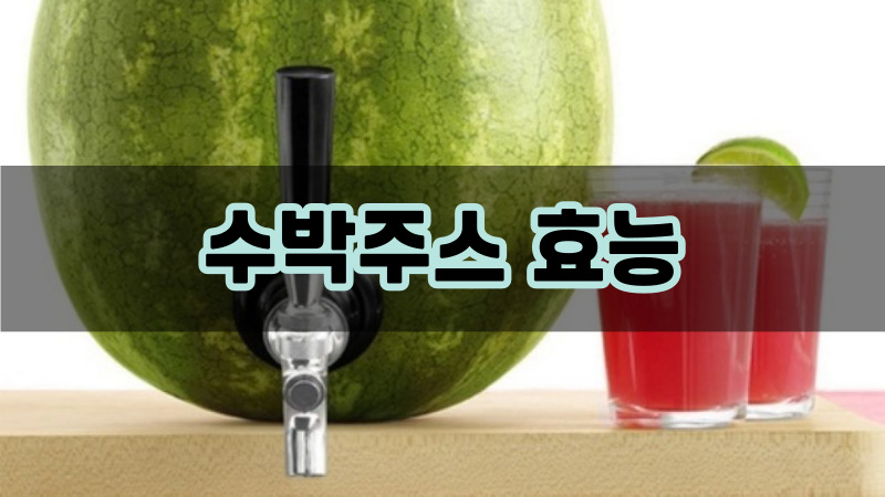 수박주스 효능