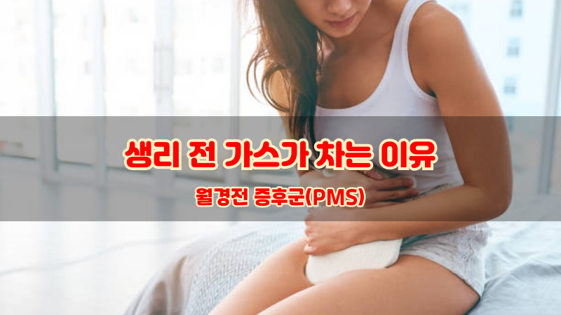 월경전 증후군(PMS)