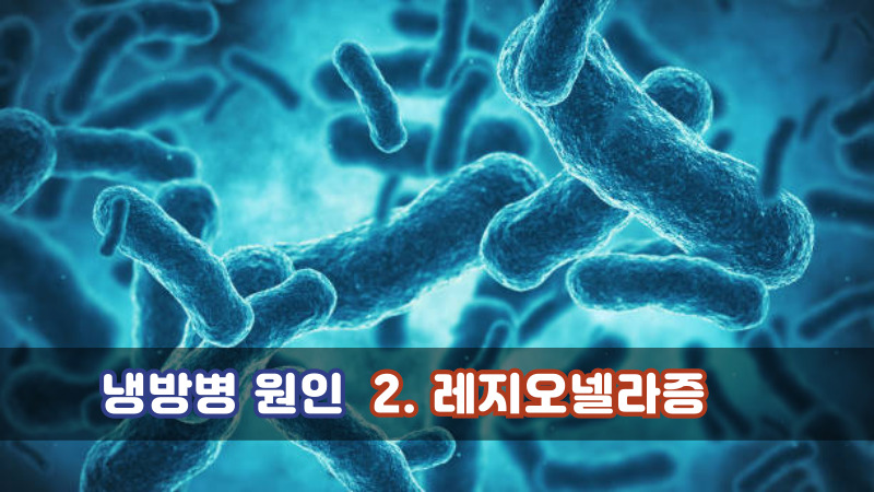 2. 레지오넬라증