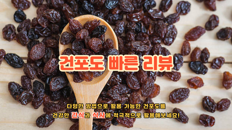 건포도 빠른 리뷰