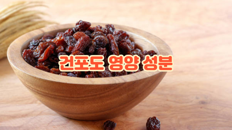 건포도 영양 성분