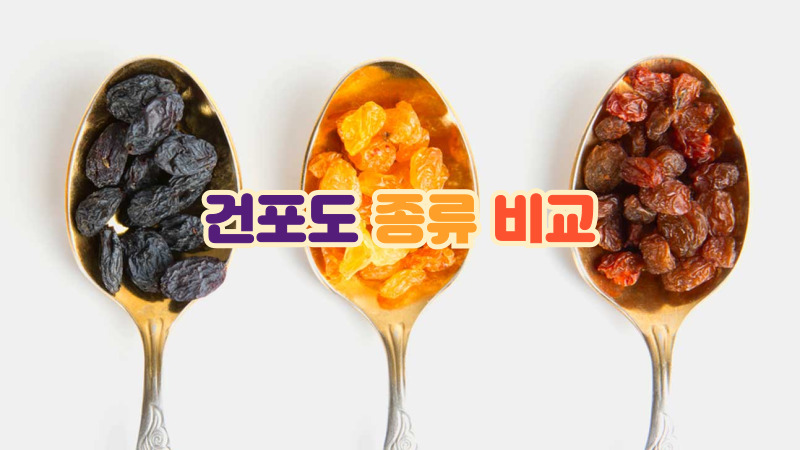 건포도 종류 비교