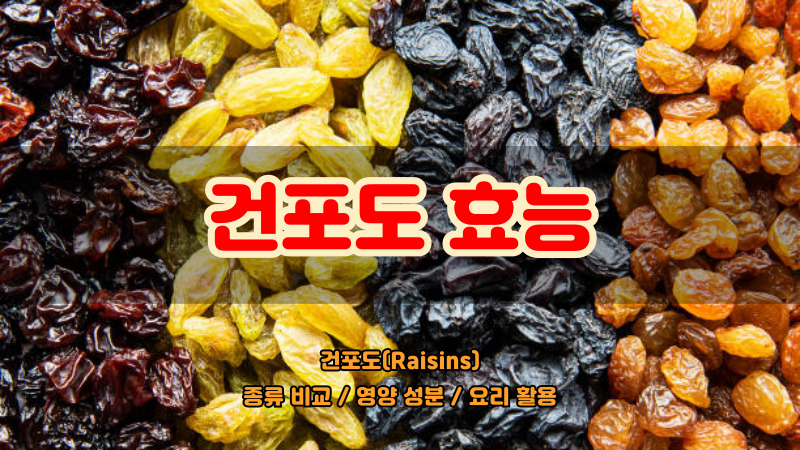 건포도 효능
