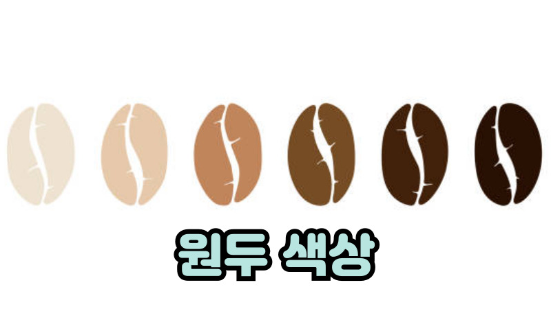 원두 색상