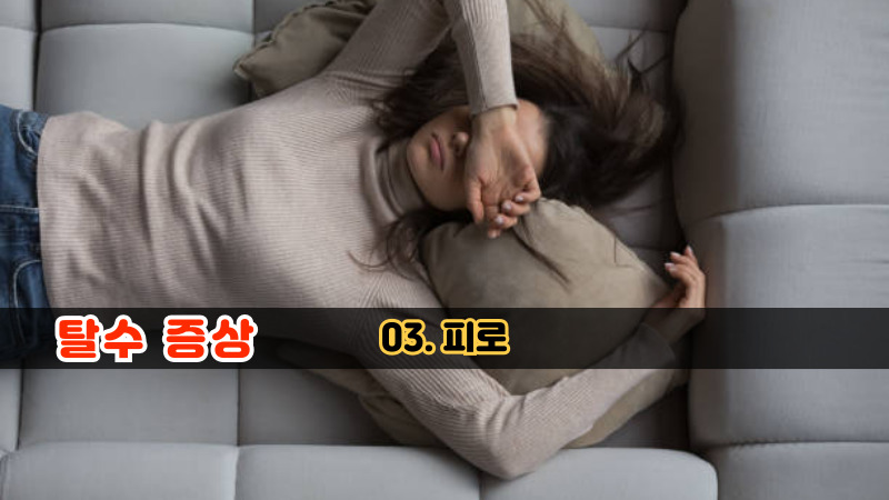 03. 피로