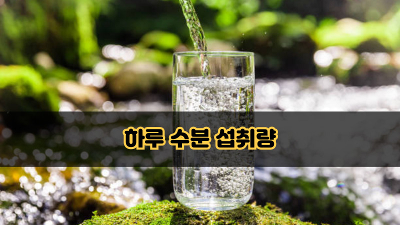 하루 수분 섭취량