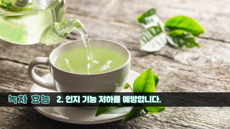 녹차 효능-2
