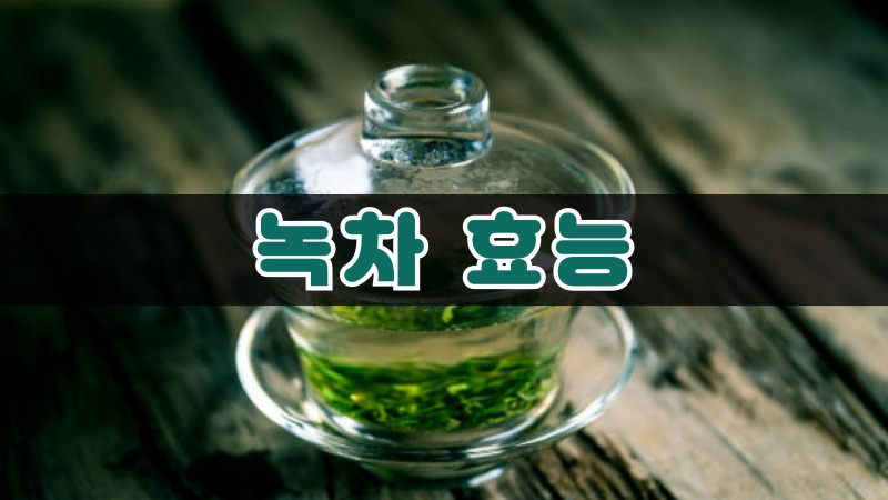 녹차 효능