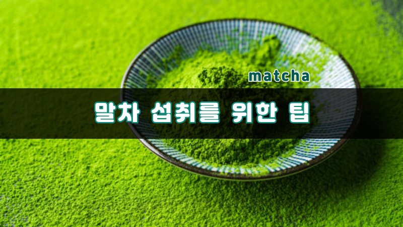 말차 섭취를 위한 팁