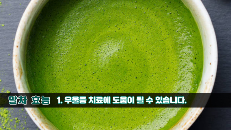말차 효능-1