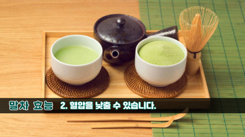 말차 효능-2