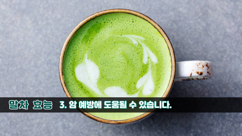 말차 효능-3