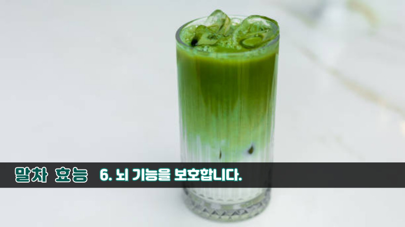 말차 효능-6