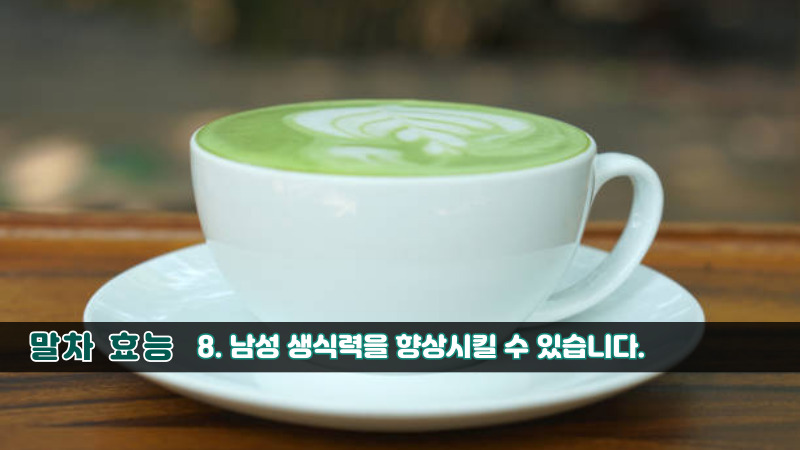 말차 효능-8