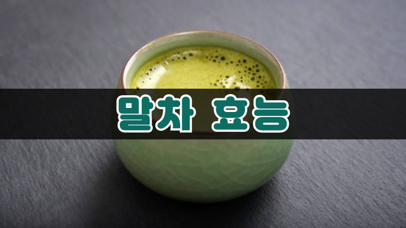 말차 효능