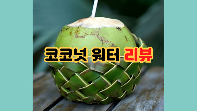 코코넛 워터 리뷰
